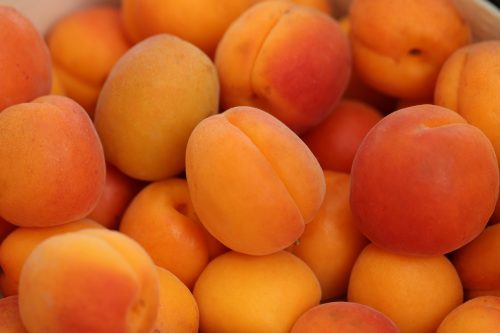 apricots-gf7825f504_1920